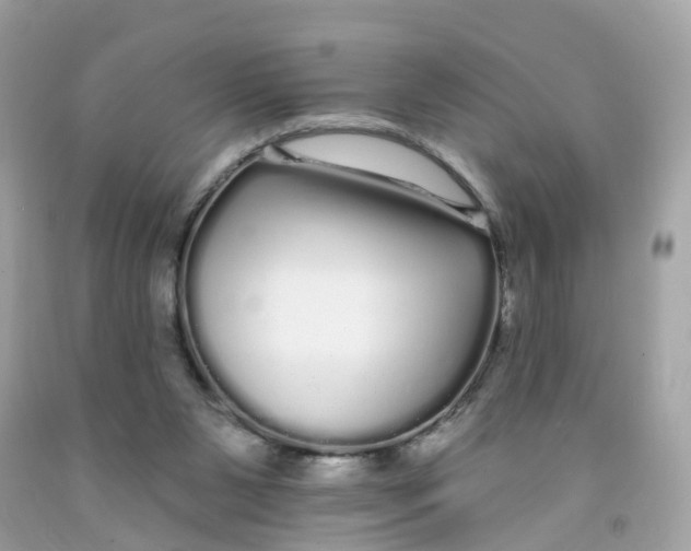 X0000091090111200709041311
