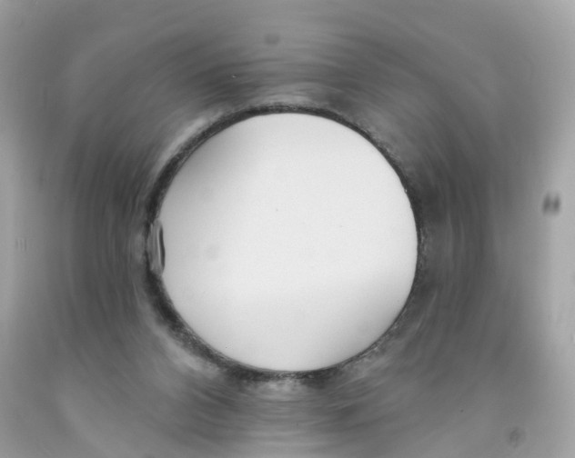 X0000091090112200709041311