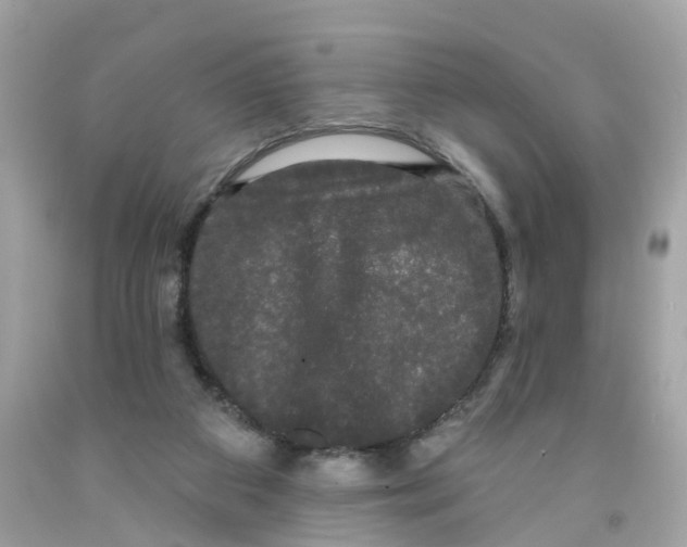 X0000091090113200709041311