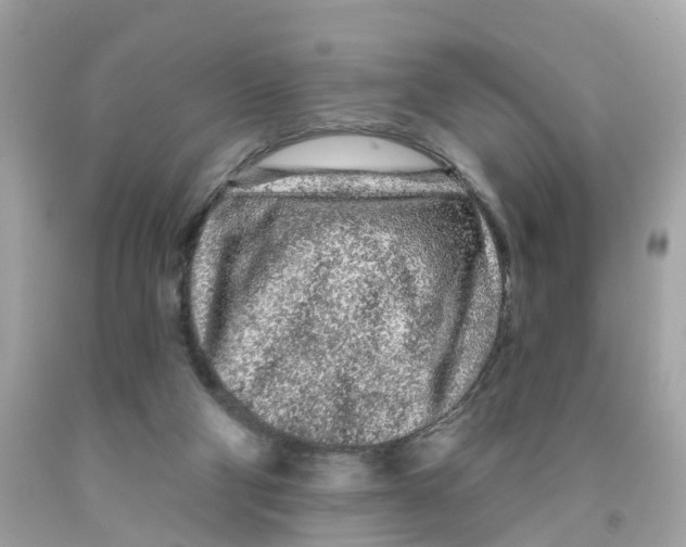 X0000091090114200709041310