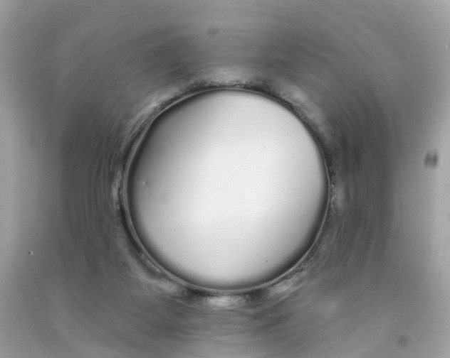 X0000091090115200709041310