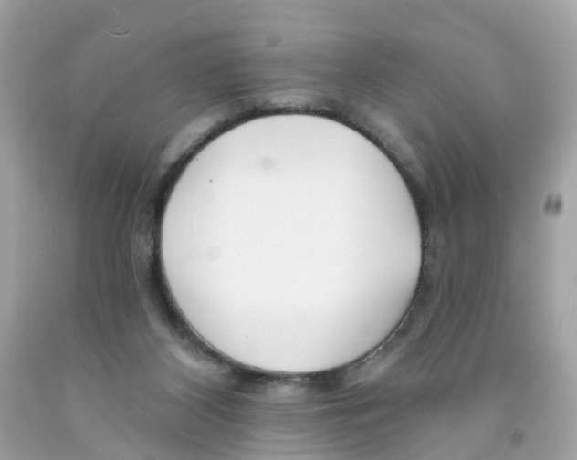 X0000091090116200709041310