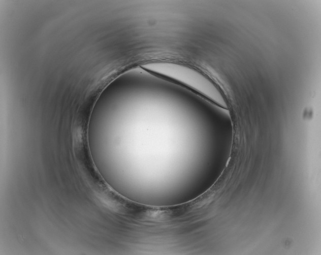 X0000091090117200709041310