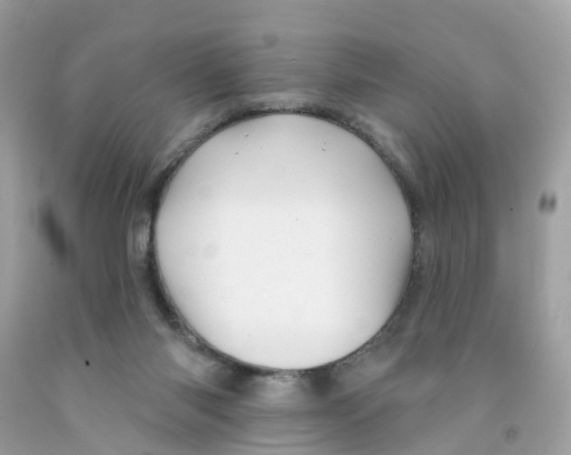 X0000091090118200709041310