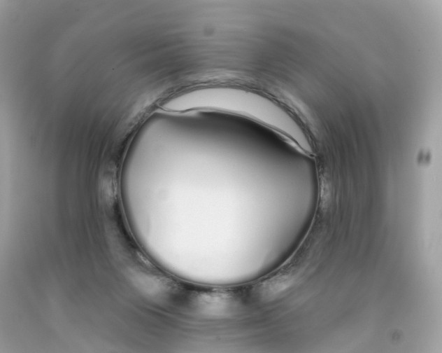 X0000091090119200709041310