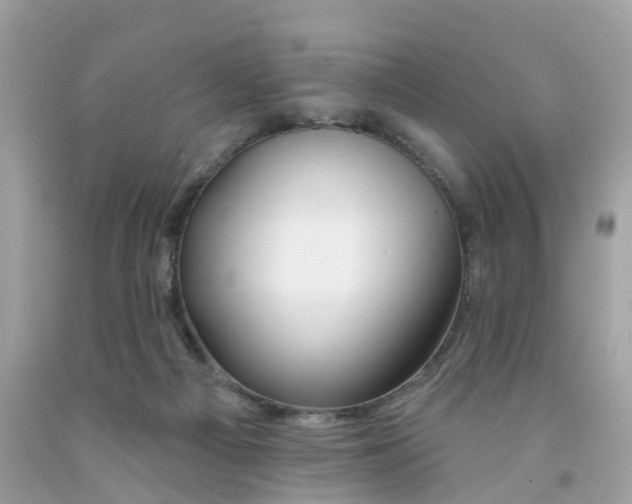 X0000091090121200709041310