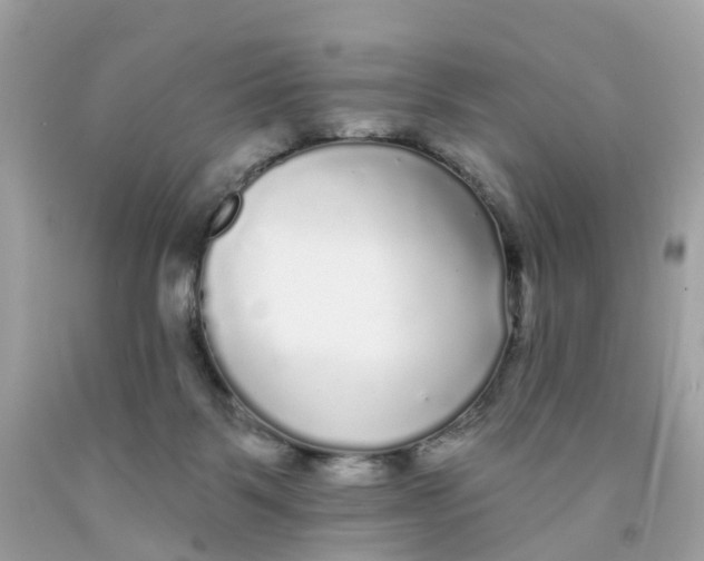 X0000091090123200709041310