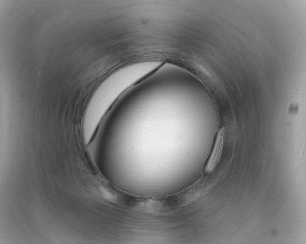 X0000091090125200709041310