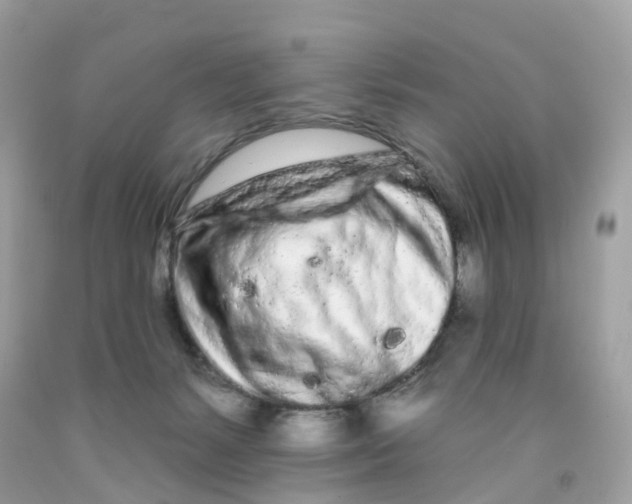 X0000091090127200709041310