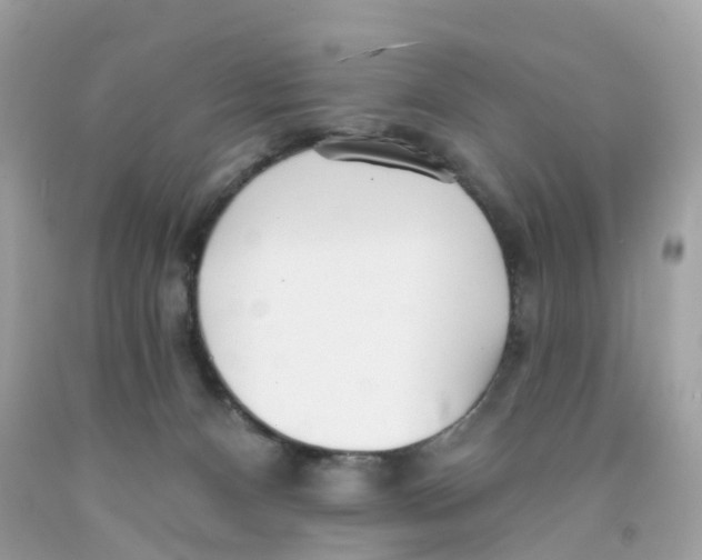 X0000091090128200709041310