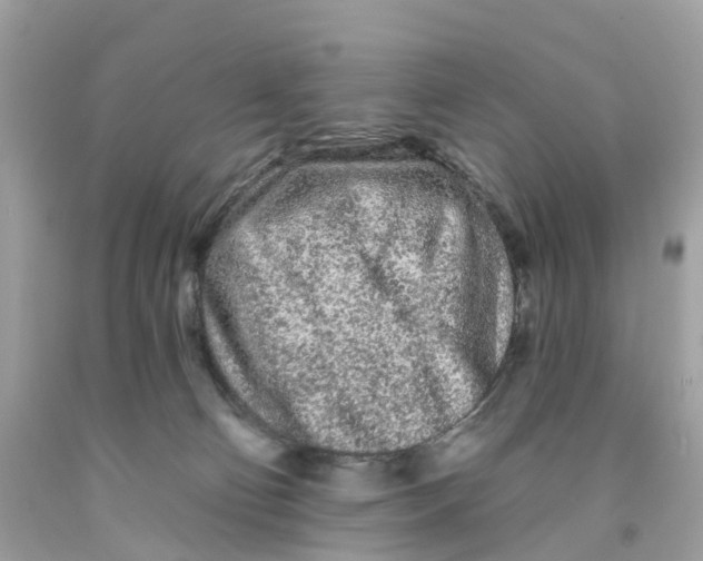 X0000091090130200709041310
