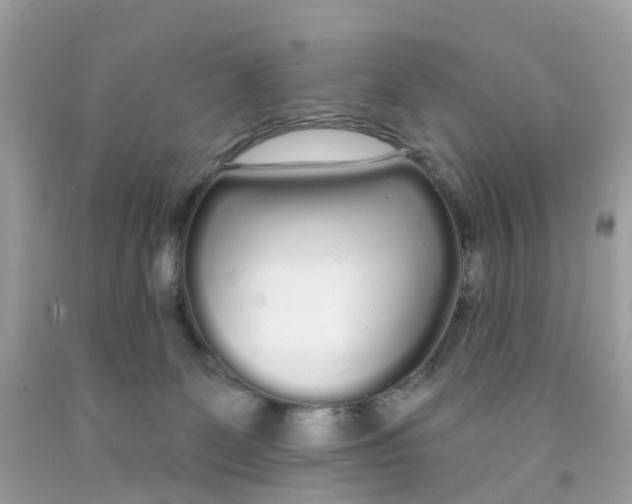 X0000091090131200709041310