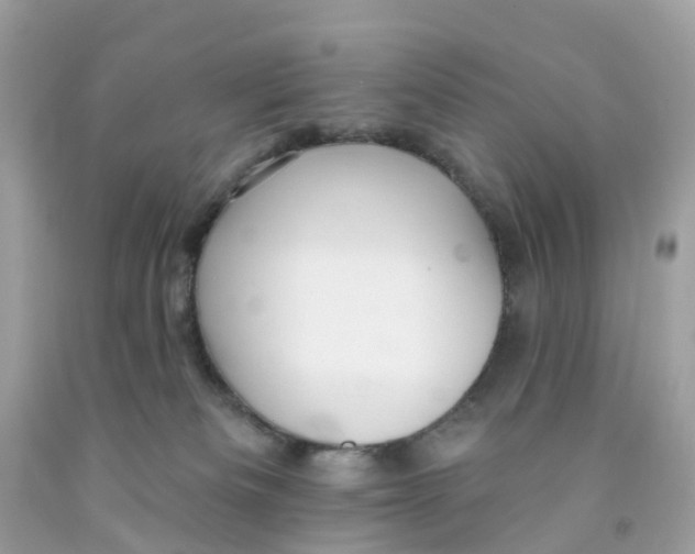 X0000091090133200709041310