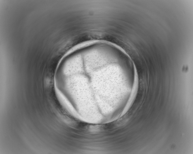 X0000091090134200709041310