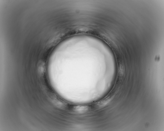 X0000091090135200709041310