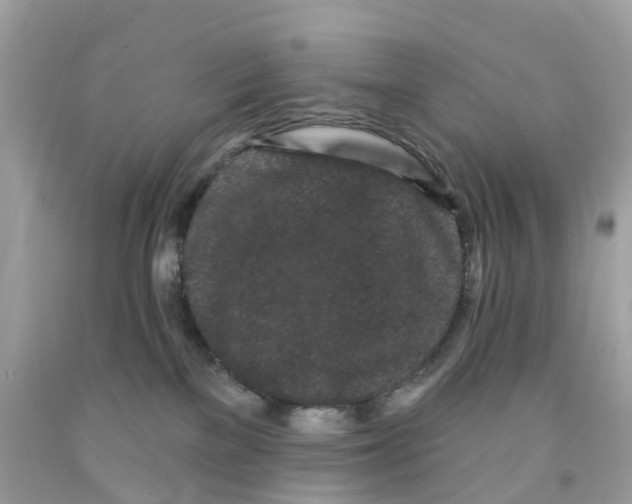 X0000091090137200709041310