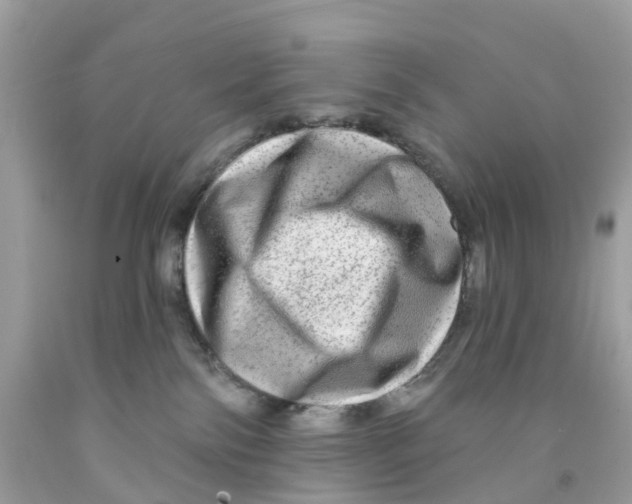 X0000091090138200709041310