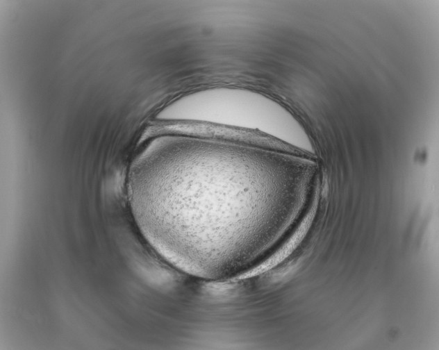 X0000091090139200709041310