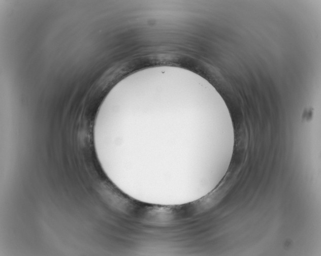 X0000091090140200709041310