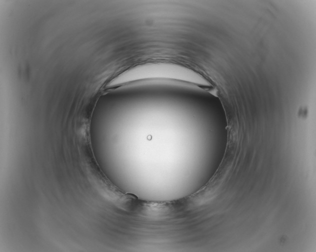 X0000091090141200709041310
