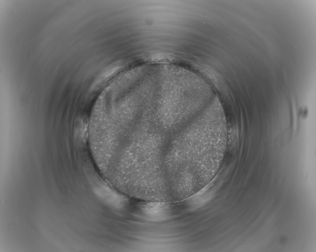 X0000091090142200709041310