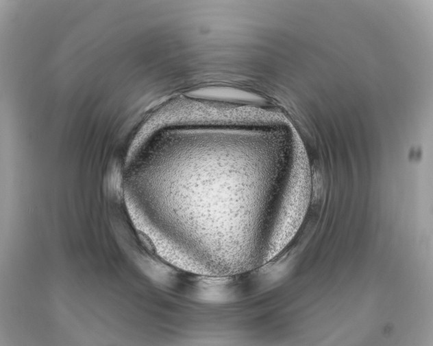 X0000091090143200709041310