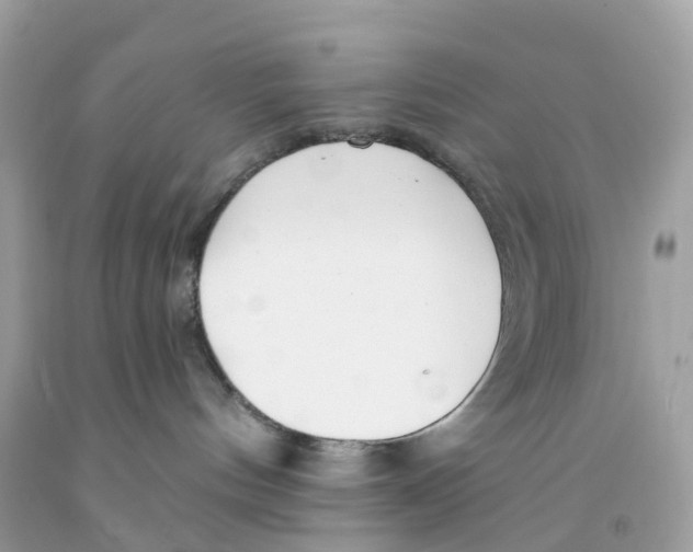 X0000091090144200709041310
