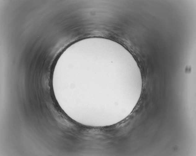 X0000091090146200709041310