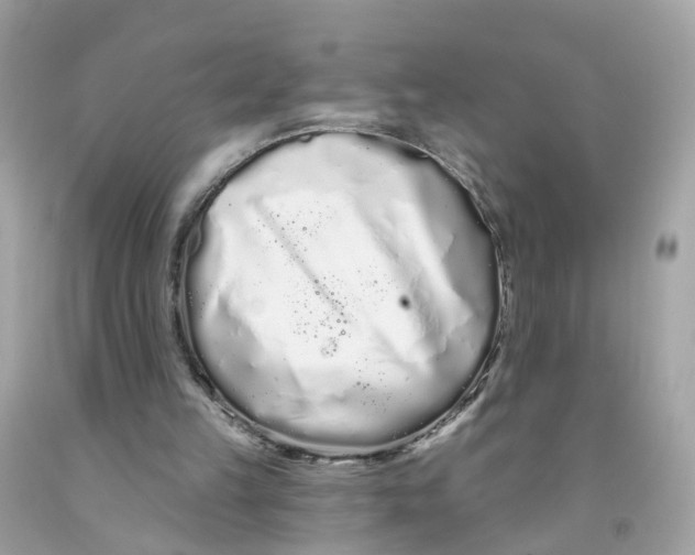 X0000091090149200709041310