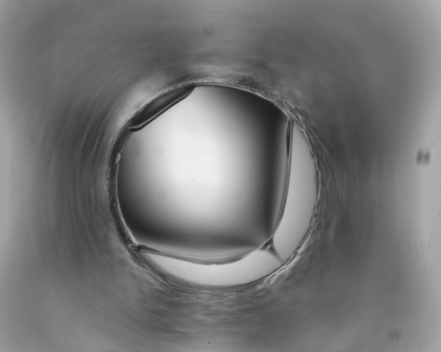 X0000091090150200709041310