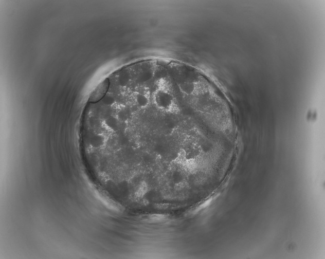 X0000091090151200709041310
