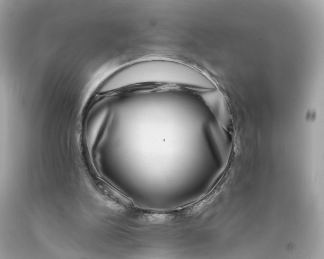 X0000091090152200709041310