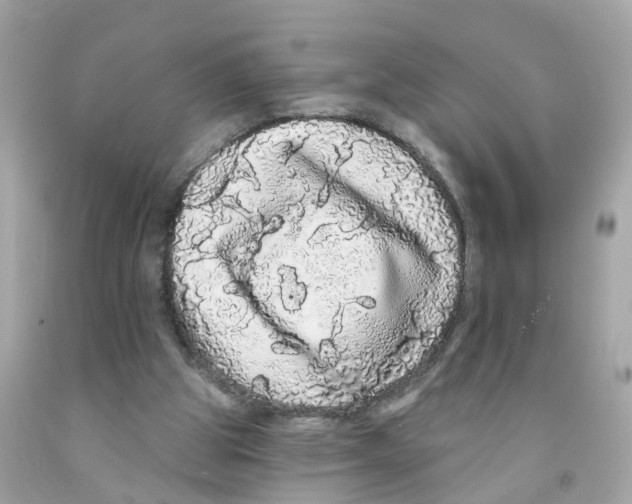 X0000091090153200709041310
