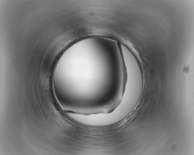 X0000091090154200709041310