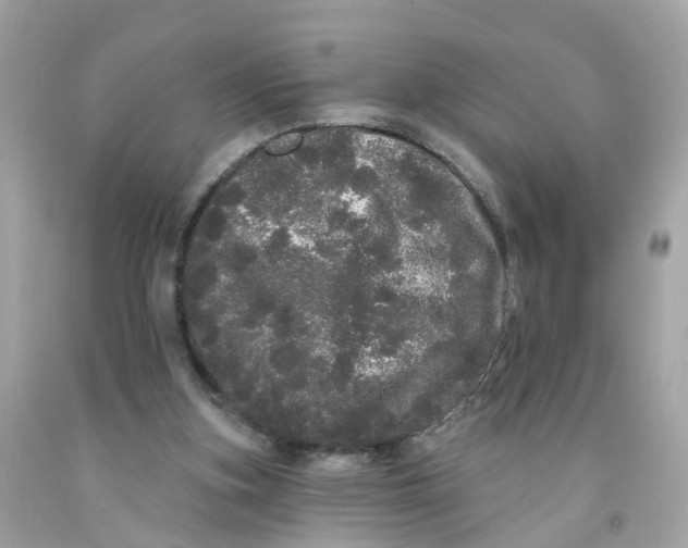 X0000091090155200709041310
