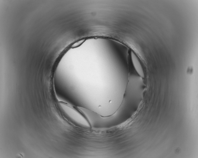 X0000091090156200709041310