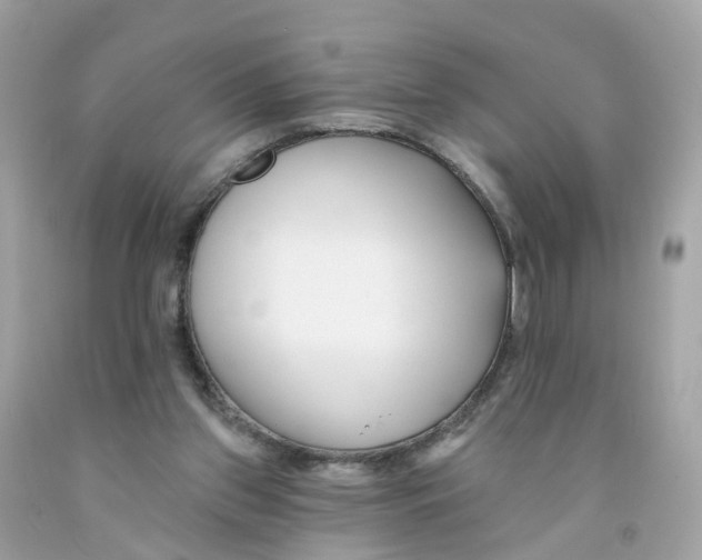 X0000091090157200709041310