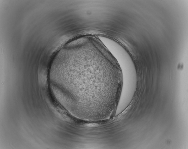 X0000091090158200709041310