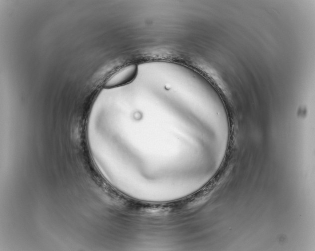 X0000091090161200709041310