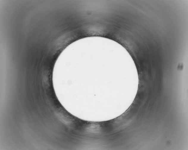 X0000091090162200709041310