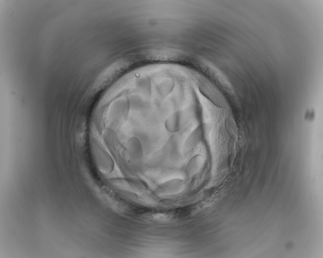 X0000091090163200709041310