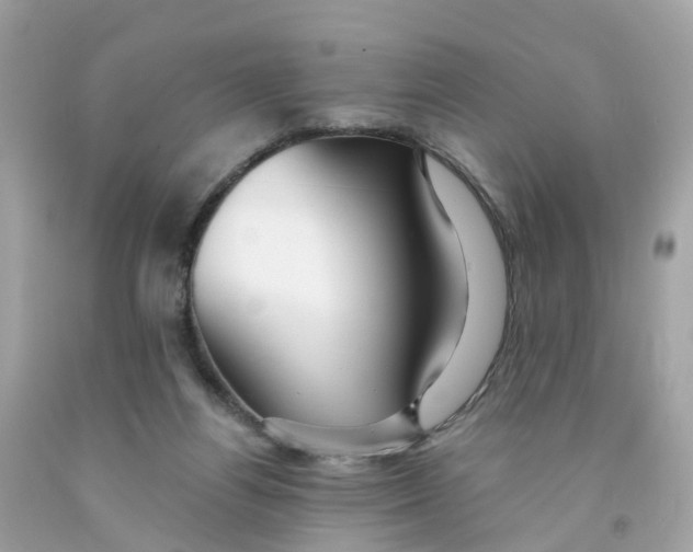 X0000091090164200709041310