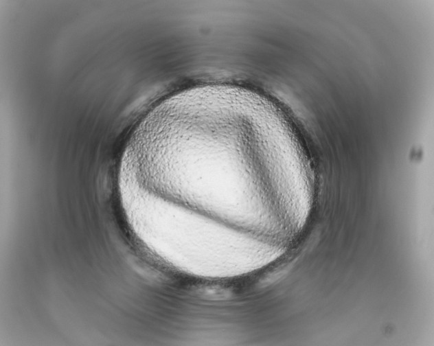 X0000091090165200709041310