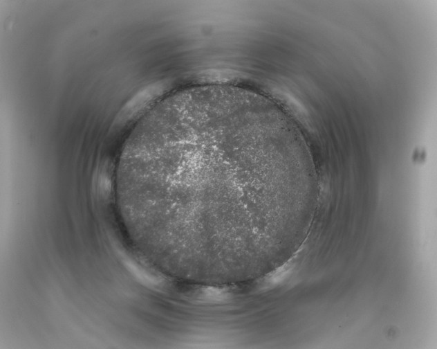 X0000091090166200709041310