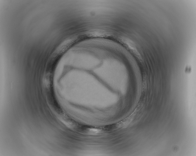 X0000091090167200709041310