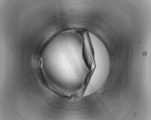 X0000091090168200709041310
