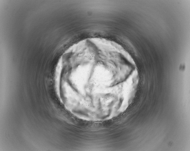 X0000091090169200709041310