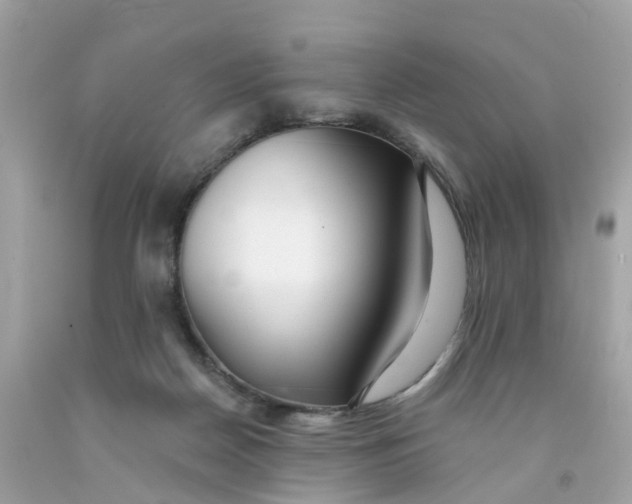 X0000091090170200709041310