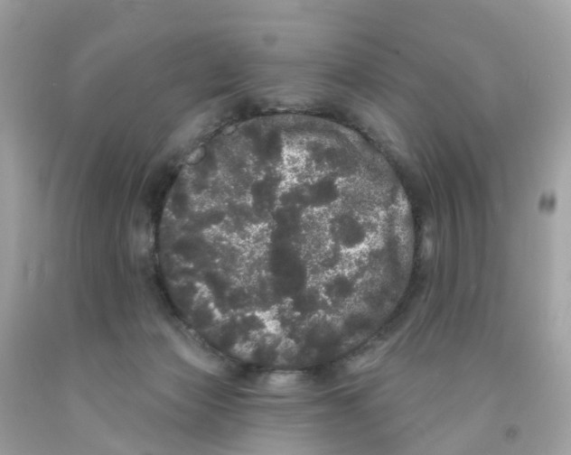 X0000091090173200709041310