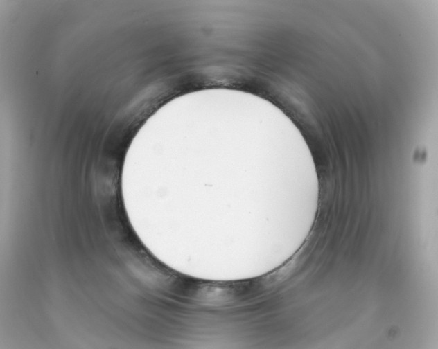 X0000091090174200709041310